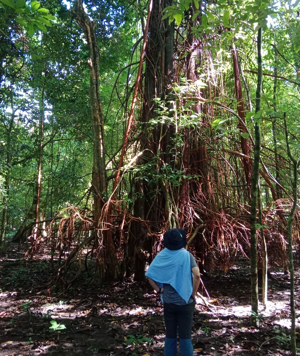 Ujung Kulon Trip